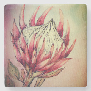 Protea Untersetzer