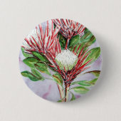 Proteas Button (Vorderseite)