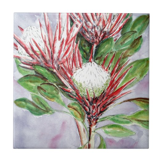 Proteas Fliese (Vorderseite)