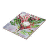 Proteas Fliese (Seite)