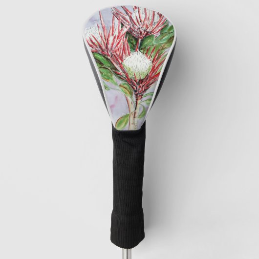 Proteas Golf Headcover (Vorderseite)