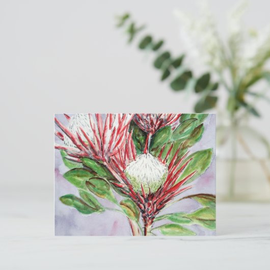 Proteas Postkarte (Stehend Vorderseite)