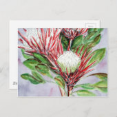 Proteas Postkarte (Vorne/Hinten)
