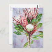 Proteas Postkarte (Vorne/Hinten)