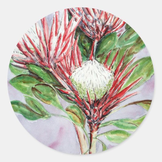 Proteas Runder Aufkleber (Vorderseite)