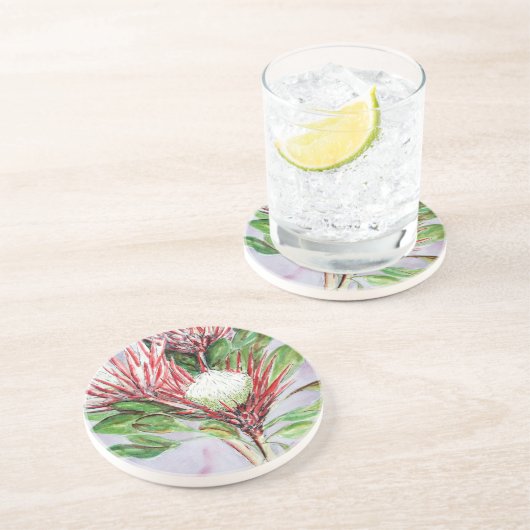 Proteas Sandstein Untersetzer (Seite)