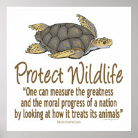 Protect Sea Turtles