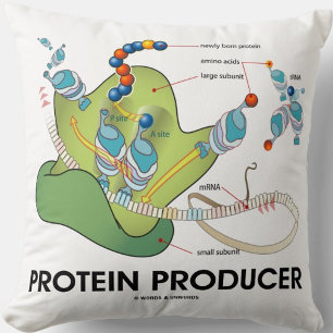 Protein Producer mRNA tRNA Protein Synthese Kissen