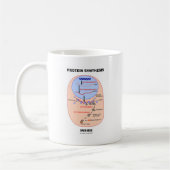 Protein-Synthese-Innere (Zellen-Prozessdiagramm) Kaffeetasse (Links)