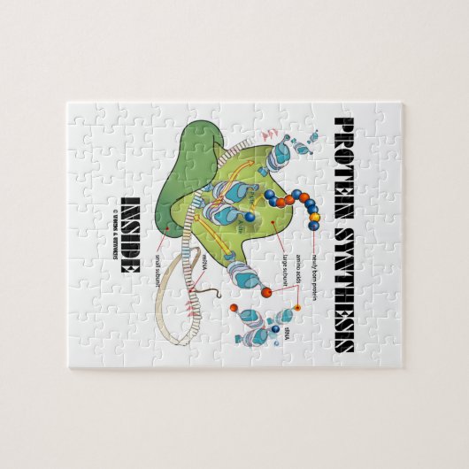 Protein Synthese Inside (mRNA tRNA) Puzzle (Horizontal)