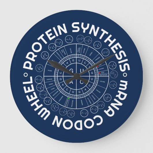 PROTEIN SYNTHESIS - mRNA to AMINO ACID CODON WHEEL Große Wanduhr (Vorderseite)