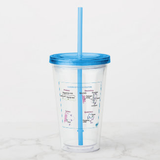 Proteinklassen Tumbler mit Lid + Stroh Acryltrinkbecher