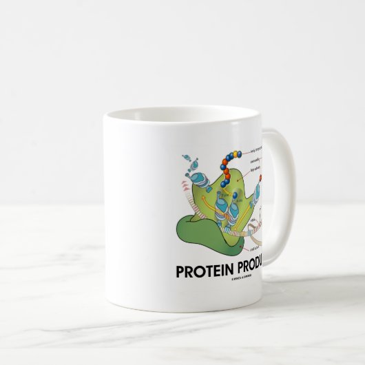Proteinproduzent Biologie Proteinsynthese Kaffeetasse (VorderseiteRechts)