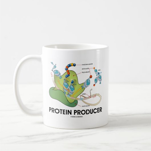 Proteinproduzent Biologie Proteinsynthese Kaffeetasse (Links)