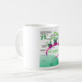 Proteinsynthese-Diagramm der RNA-Übersetzung Kaffeetasse (Vorderseite Links)