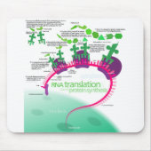 Proteinsynthese-Diagramm der RNA-Übersetzung Mousepad (Vorne)
