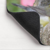 Prothonotary-Bad Mousepad (Ecke)