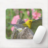 Prothonotary-Bad Mousepad (Mit Mouse)