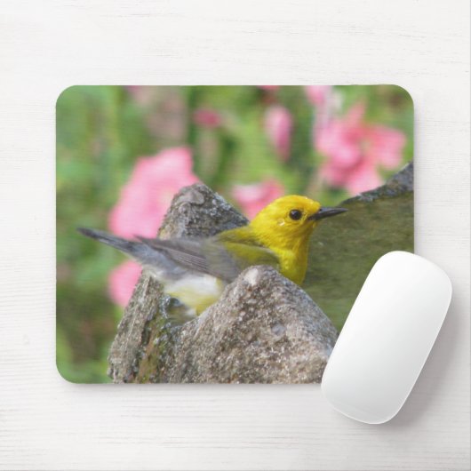 Prothonotary-Bad Mousepad (Mit Mouse)