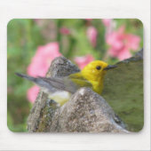 Prothonotary-Bad Mousepad (Vorne)