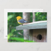 Prothonotary behauptet Kasten-Postkarte Postkarte (Vorne/Hinten)