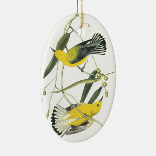 Prothonotary-Trällerer, John Audubon Keramikornament (Rechts)