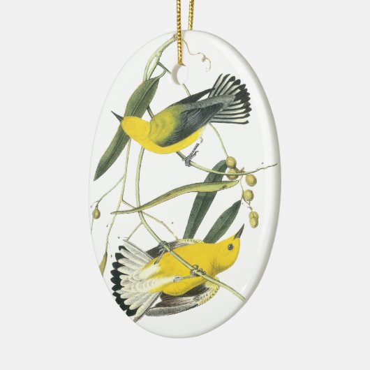 Prothonotary-Trällerer, John Audubon Keramikornament (Links)