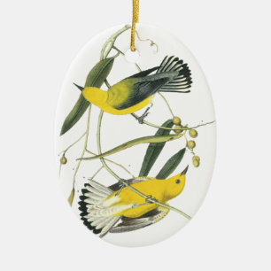 Prothonotary-Trällerer, John Audubon Keramikornament