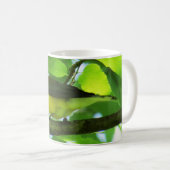 Prothonotary-Trällerer-Kaffee-Tasse Kaffeetasse (VorderseiteRechts)