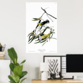 Prothonotary Warbler Birds of America Audubon Poster (Heimbüro)