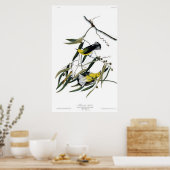 Prothonotary Warbler Birds of America Audubon Poster (Küche)