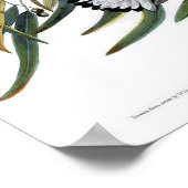 Prothonotary Warbler John James Audubon Birds Poster (Ecke)