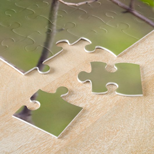 Prothonotary Warbler Puzzle (Seite)