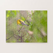 Prothonotary Warbler Puzzle (Horizontal)