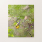Prothonotary Warbler Puzzle (Vertikal)
