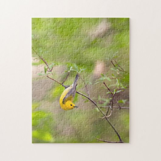 Prothonotary Warbler Puzzle (Vertikal)