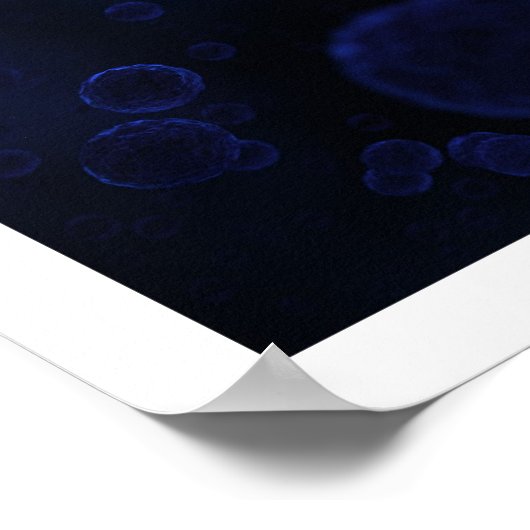 Protist Poster (Ecke)