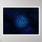 Protist Poster (Vorne)