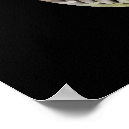 Protoballs Stereogramm Poster (Ecke)