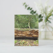 Protokollierung Postkarte (Stehend Vorderseite)