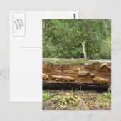 Protokollierung Postkarte (Vorne/Hinten)