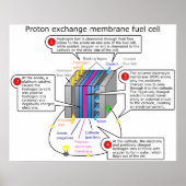 Proton Exchange Membrane Brennstoffzelle Diagramm Poster (Vorne)