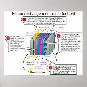 Proton Exchange Membrane Brennstoffzelle Diagramm Poster