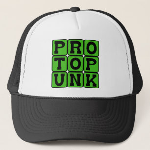 Protopunk, Musikgenre Truckerkappe