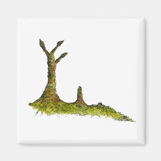 Prototaxites Lichens Magnet (Vorne)