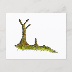 Prototaxites Lichens Postcard Postkarte