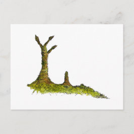 Prototaxites Lichens Postcard Postkarte