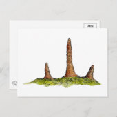 Prototaxites Postkarte (Vorne/Hinten)