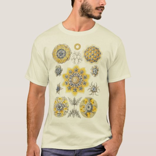 Protozoans T-Shirt (Vorderseite)