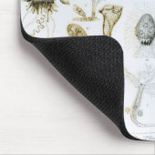 Protozoen und Coelenterata Mousepad (Ecke)